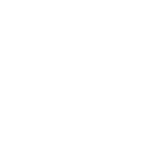 Icon Mikrofon
