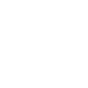 Icon Lautsprecher in einer Sprechblase