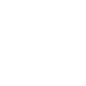 Icon Videokamera